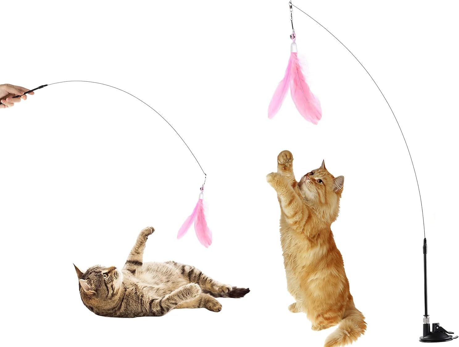 Cat Teasers