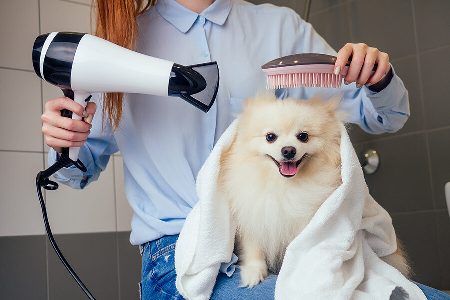 Grooming & Hygiene