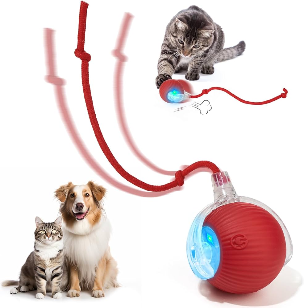 Motion Toys